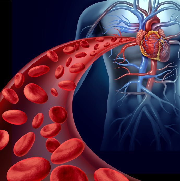 Blood-Flow