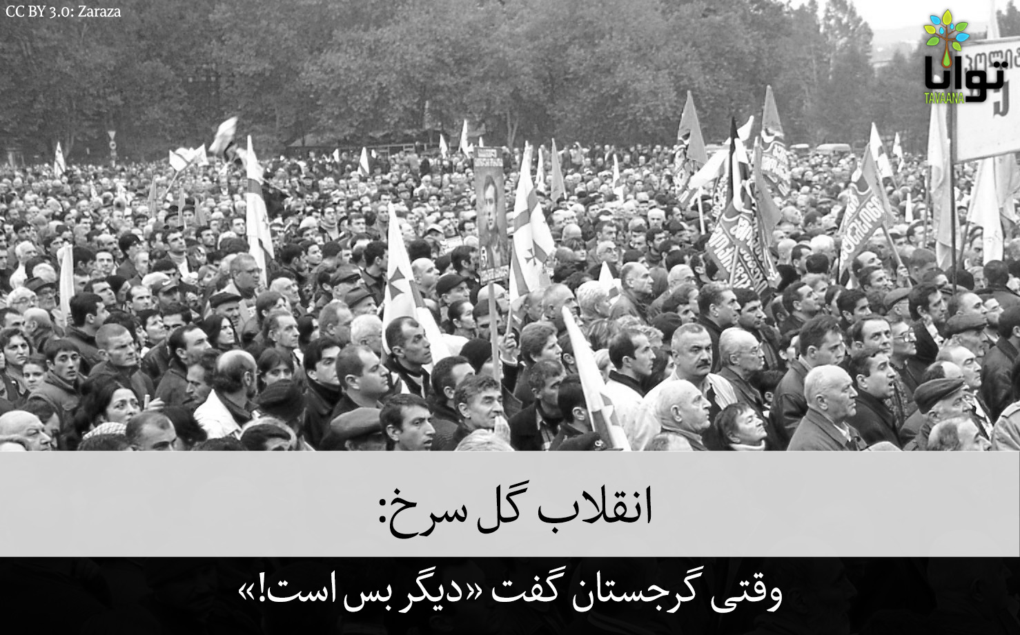 rose_revolution_georgia